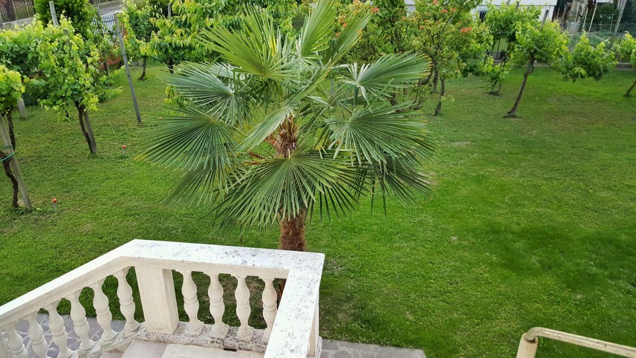 Casa Del Vigneto - New Near Venice - Rooms+Bathroom - Independent Спинея Екстериор снимка
